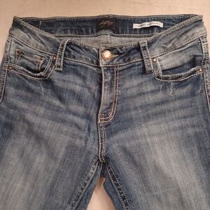 Daytrip Distressed Virgo BootCut Jeans Women's Size 29 R